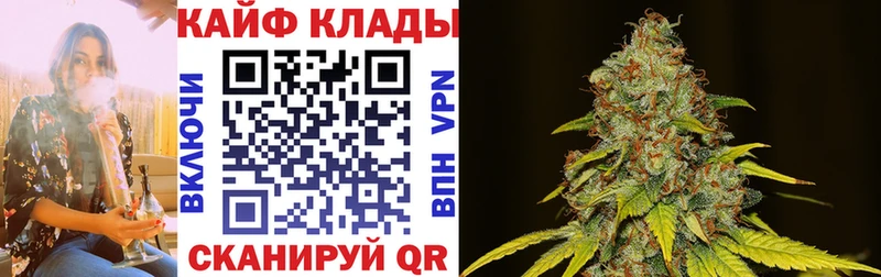 Где продают наркотики Светлогорск Гашиш  Псилоцибиновые грибы  Меф мяу мяу  Бошки Шишки 
