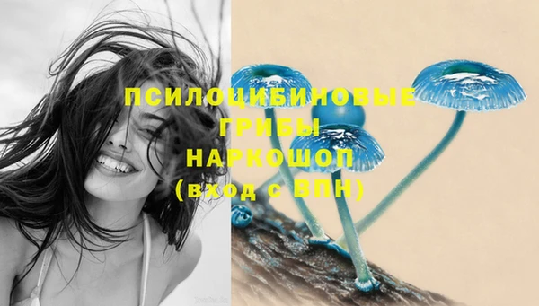 ГАЛЛЮЦИНОГЕННЫЕ ГРИБЫ Белокуриха