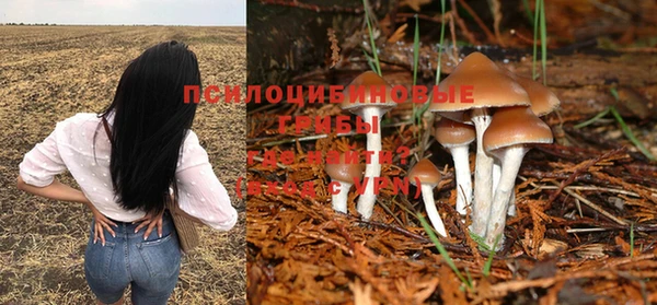 ГАЛЛЮЦИНОГЕННЫЕ ГРИБЫ Белокуриха