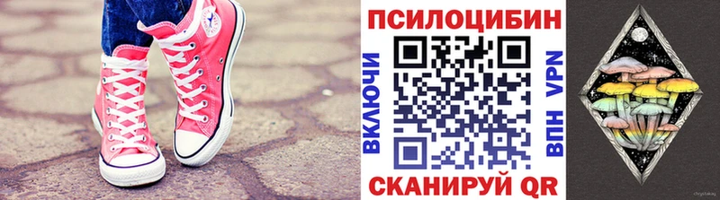 дарнет шоп  Светлогорск  Галлюциногенные грибы мицелий 